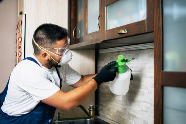 Best Pest Control Near Me in March Ar, CA