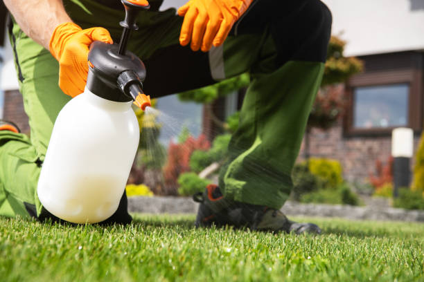 Best Pest Inspection Near Me  in March Ar, CA