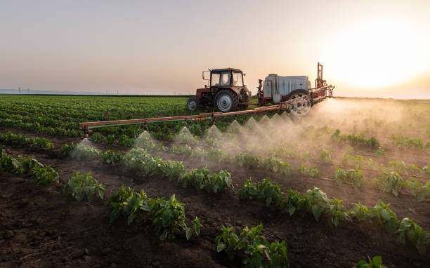 Best Commercial Pest Control Services  in March Ar, CA
