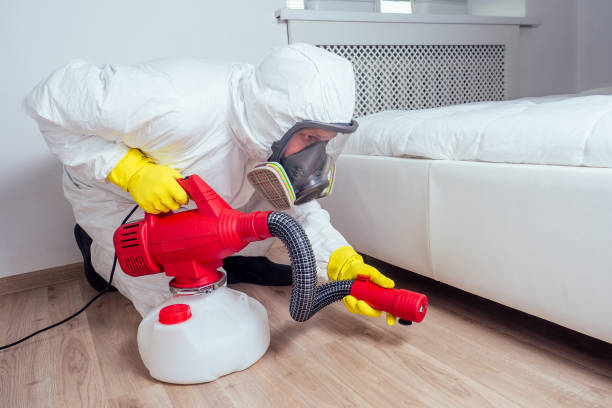 Best Pest Removal Services  in March Ar, CA
