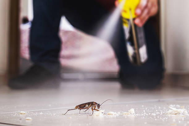 Best Best Pest Control Companies  in March Ar, CA